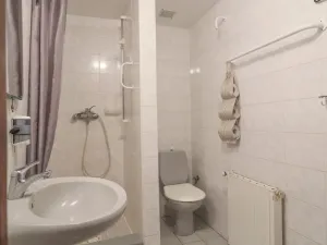 Prodej ubytování, Kašperské Hory - Červená, 550 m2