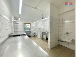 Pronájem obchodního prostoru, Teplice, Duchcovská, 75 m2