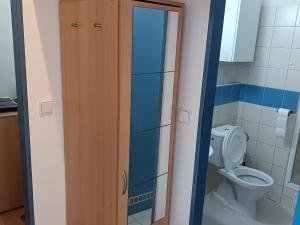 Pronájem bytu 1+kk, Brno, Cejl, 19 m2
