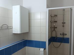 Pronájem bytu 1+kk, Brno, Cejl, 19 m2