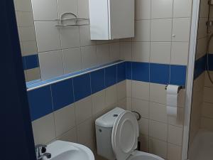Pronájem bytu 1+kk, Brno, Cejl, 19 m2