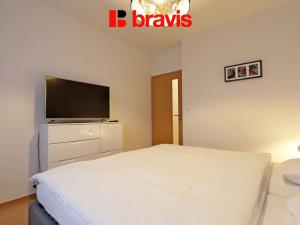 Pronájem bytu 2+kk, Brno - Trnitá, Spálená, 50 m2
