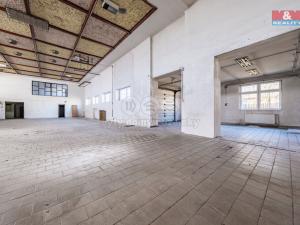Prodej výrobních prostor, Načeradec, Zámecké náměstí, 1800 m2
