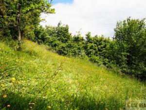 Prodej chaty, Stražisko - Maleny, 35 m2