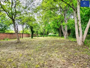 Prodej zahrady, Krčmaň, 800 m2