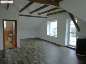 Pronájem bytu 1+kk, Nečín, 44 m2