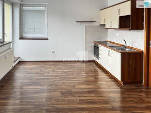 Pronájem bytu 1+kk, Plzeň - Jižní Předměstí, Bendova, 33 m2