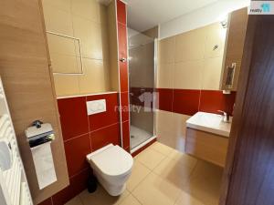 Pronájem bytu 1+kk, Plzeň - Jižní Předměstí, Bendova, 33 m2