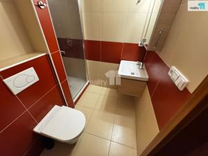 Pronájem bytu 1+kk, Plzeň - Jižní Předměstí, Bendova, 33 m2