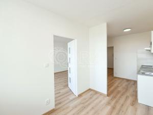 Pronájem bytu 1+1, Praha - Libeň, Podvinný mlýn, 53 m2