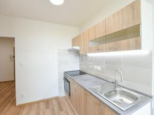 Pronájem bytu 1+1, Praha - Libeň, Podvinný mlýn, 53 m2