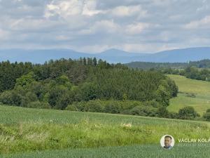 Prodej pozemku pro bydlení, Borovnice, 1595 m2