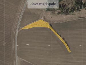 Prodej louky, Planá - Svahy, 17895 m2