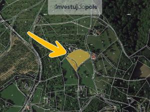 Prodej louky, Troskovice - Tachov, 5567 m2