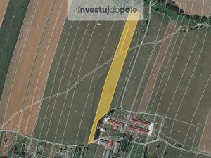 Prodej pole, Melč, 2420 m2