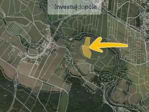 Prodej louky, Třebechovice pod Orebem - Krňovice, 7720 m2