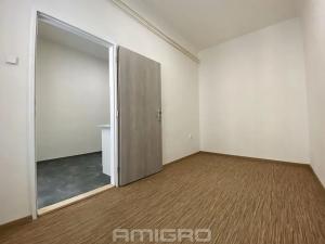 Pronájem bytu 2+1, Brno, Antonínská, 59 m2