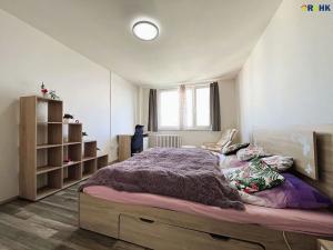 Pronájem bytu 1+1, Hradec Králové, Selicharova, 40 m2