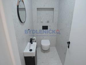 Pronájem rodinného domu, Dynín, 271 m2