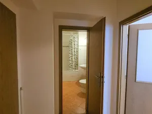 Pronájem bytu 1+1, Brno, Veselá, 36 m2