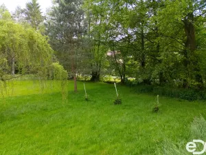 Prodej zahrady, Horní Bukovina, 267 m2