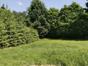 Prodej pozemku pro bydlení, Dlouhá Ves, 1876 m2