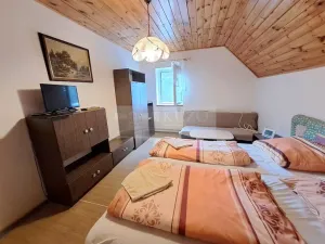 Prodej ubytování, Zbytiny - Blažejovice, 453 m2