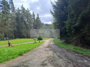Prodej ubytování, Zbytiny - Blažejovice, 453 m2