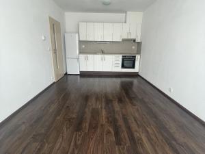 Pronájem bytu 2+kk, České Budějovice - České Budějovice 3, Nová, 54 m2