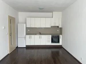 Pronájem bytu 2+kk, České Budějovice - České Budějovice 3, Nová, 54 m2