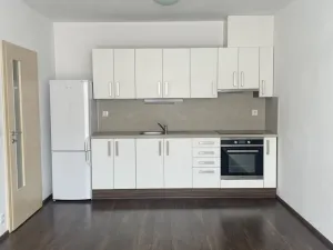 Pronájem bytu 2+kk, České Budějovice - České Budějovice 3, Nová, 54 m2