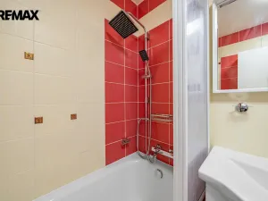 Prodej bytu 3+kk, Opatovice nad Labem, Neplachova, 100 m2