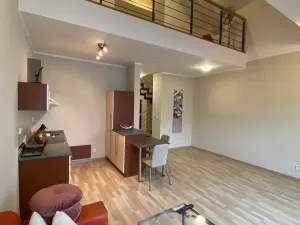 Pronájem bytu 2+1, Brno, Náplavka, 45 m2