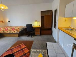 Pronájem bytu 1+kk, Písek - Budějovické Předměstí, Harantova, 28 m2