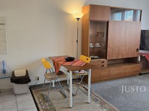 Pronájem bytu 1+kk, Písek - Budějovické Předměstí, Harantova, 28 m2