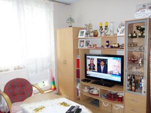 Pronájem bytu 1+1, Brno, Vavřinecká, 35 m2