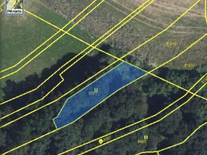 Prodej louky, Vranová Lhota, 502 m2