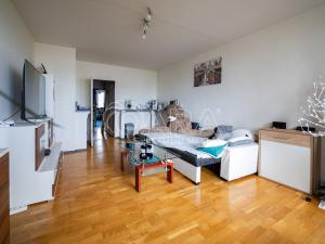 Prodej bytu 6+kk a větší, Praha - Záběhlice, Dunická, 376 m2