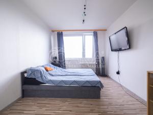Prodej bytu 6+kk a větší, Praha - Záběhlice, Dunická, 376 m2