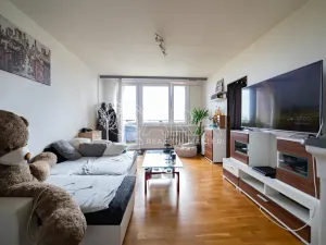 Prodej bytu 6+kk a větší, Praha - Záběhlice, Dunická, 376 m2