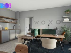 Pronájem kanceláře, Český Těšín, Havlíčkova, 43 m2