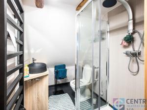 Prodej rodinného domu, Janov nad Nisou - Hraničná, 250 m2