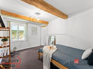 Prodej rodinného domu, Litíč - Nouzov, 400 m2
