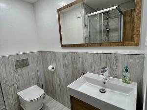 Pronájem bytu 2+kk, České Budějovice - České Budějovice 3, Kostelní, 38 m2