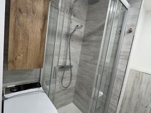 Pronájem bytu 2+kk, České Budějovice - České Budějovice 3, Kostelní, 38 m2