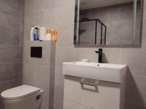 Pronájem bytu 1+kk, Přerov - Přerov I-Město, Seifertova, 39 m2