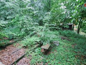 Prodej chaty, Bítov, 52 m2