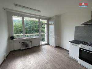 Prodej bytu 1+1, Ústí nad Labem - Střekov, Tolstého, 45 m2