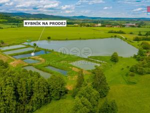 Prodej rybníku, Ostružno, 3377 m2