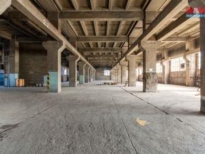 Pronájem výrobních prostor, Ostrava, 12000 m2